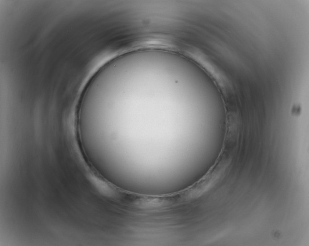 X0000103171474200808221222