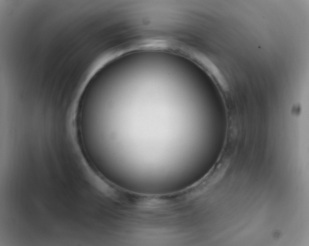 X0000103171475200808221222