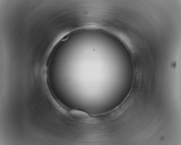X0000103171476200808221222