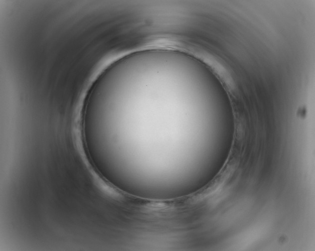 X0000103171478200808221222