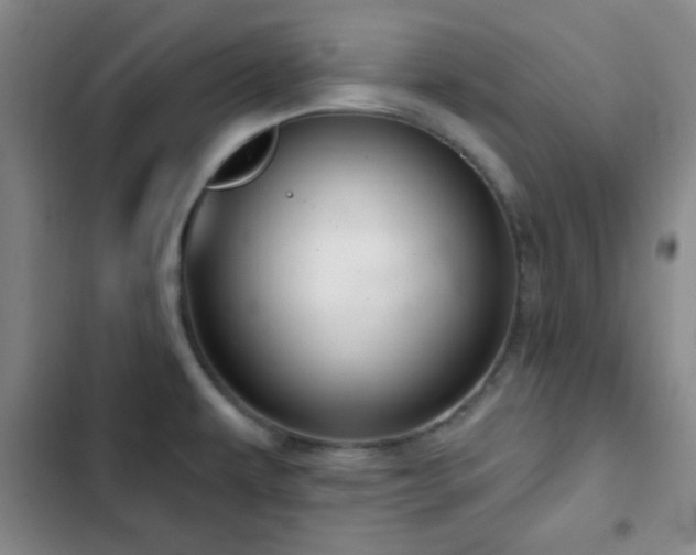 X0000103171479200808221222