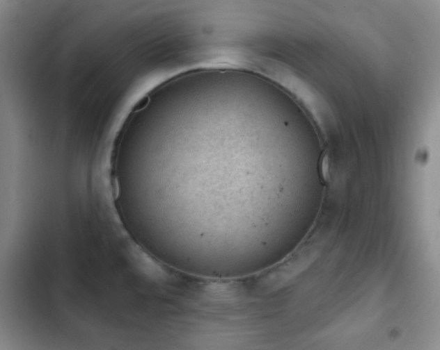 X0000103171480200808221222