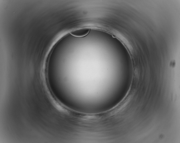 X0000103171482200808221222