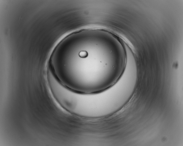 X0000103171484200808221222