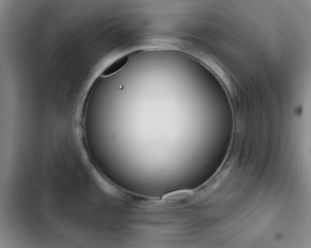 X0000103171485200808221222