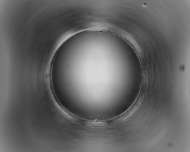 X0000103171487200808221222