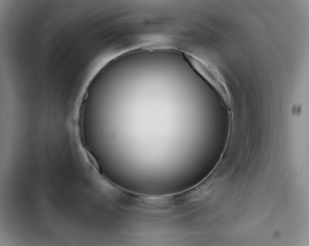 X0000103171488200808221222