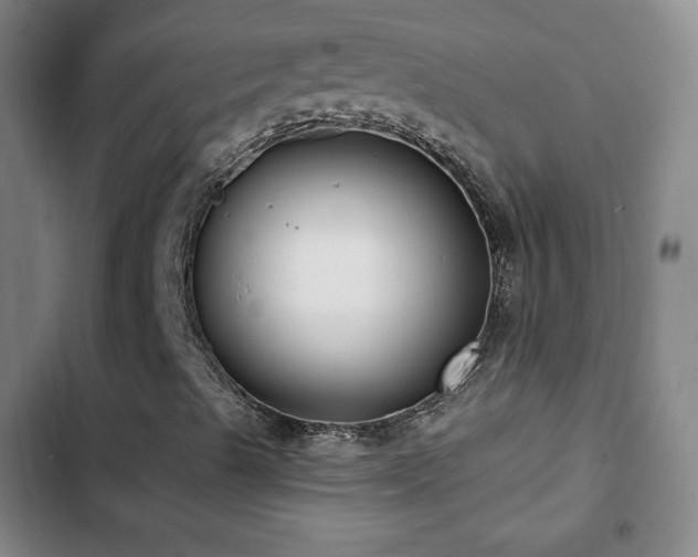 X0000103171489200808221221
