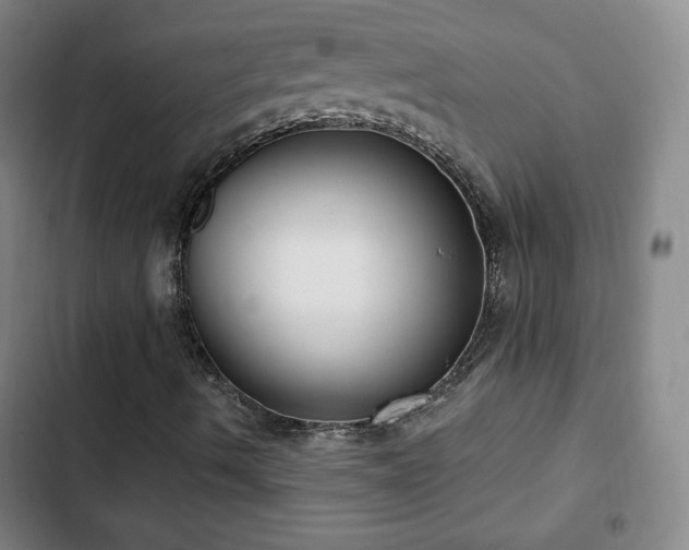 X0000103171490200808221221