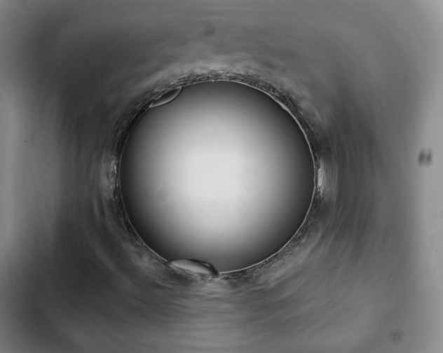 X0000103171492200808221222