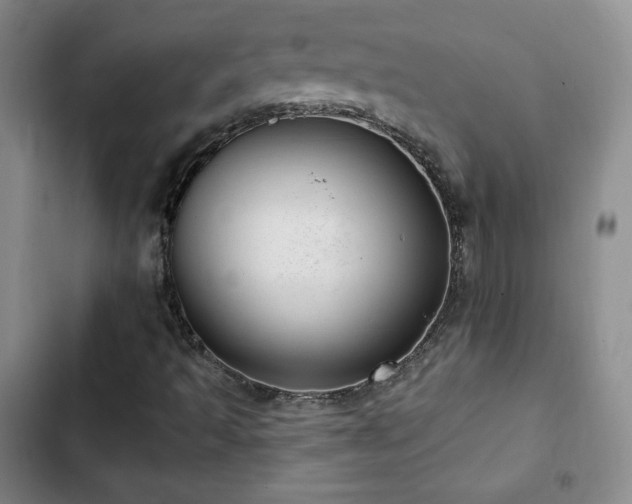 X0000103171493200808221222
