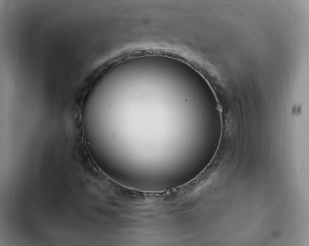 X0000103171494200808221222