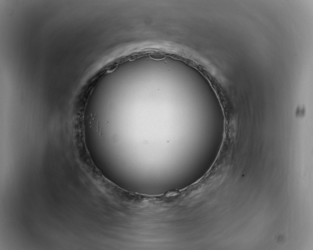 X0000103171496200808221222