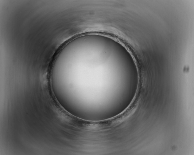X0000103171497200808221222