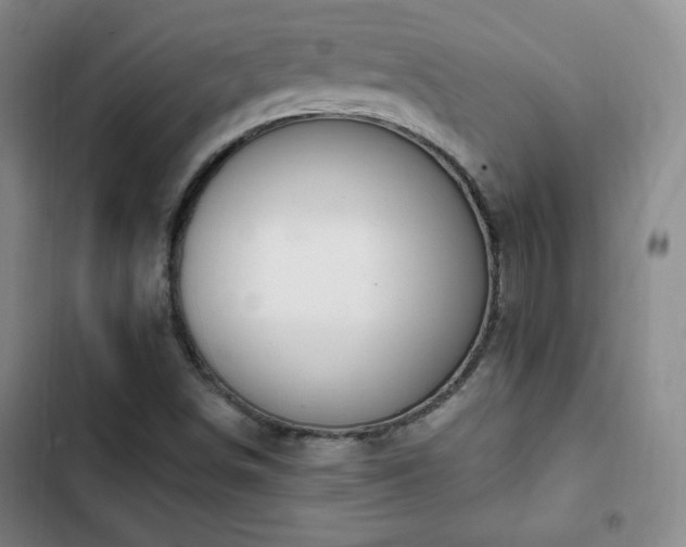 X0000103171498200808221222