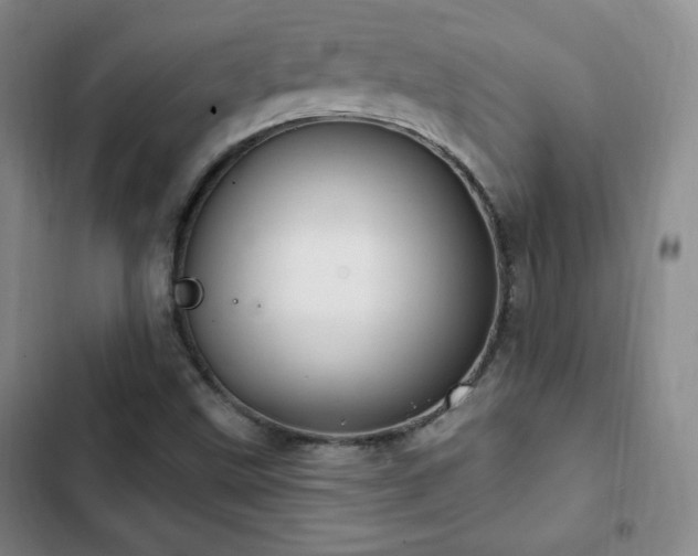 X0000103171499200808221222