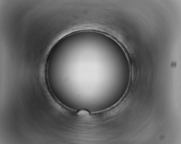 X0000103171500200808221222