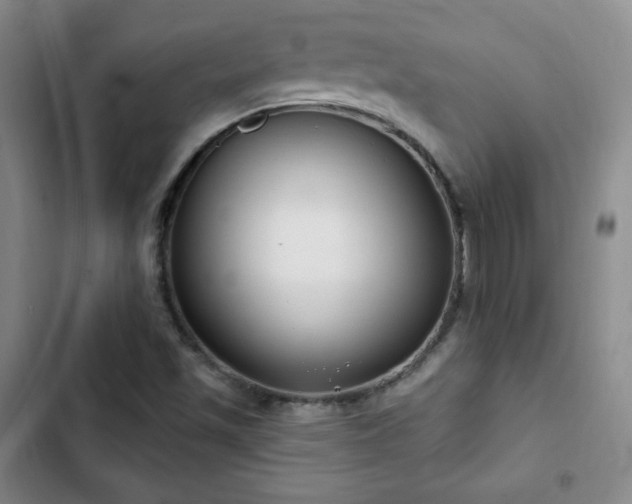 X0000103171501200808221222