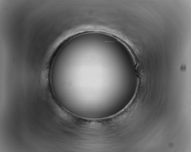 X0000103171503200808221222