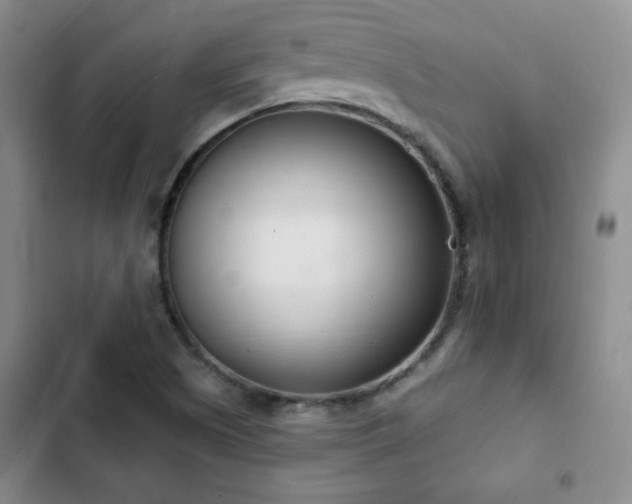 X0000103171505200808221222