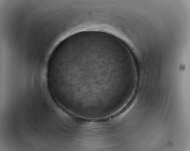 X0000103171506200808221222