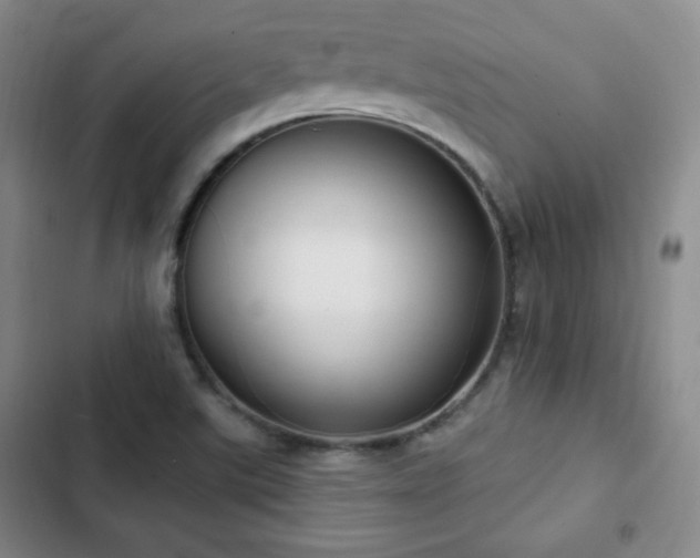 X0000103171507200808221222