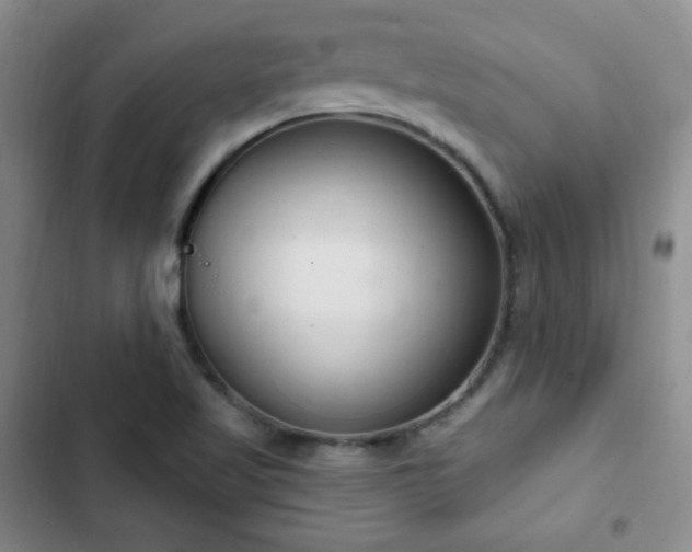 X0000103171509200808221222