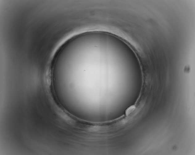 X0000103171510200808221222