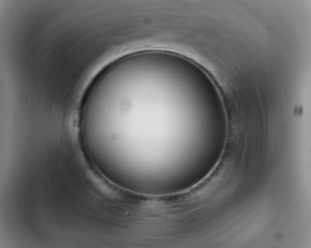 X0000103171511200808221222