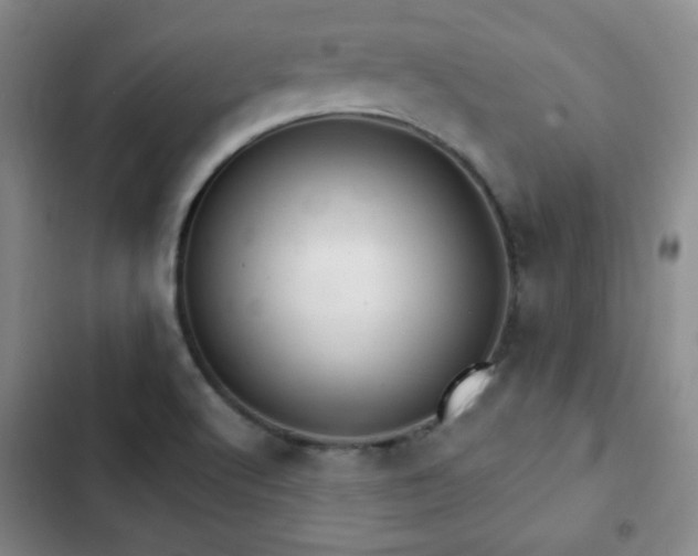 X0000103171512200808221222