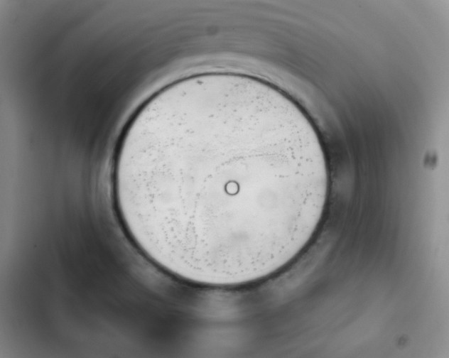 X0000103171514200808221222