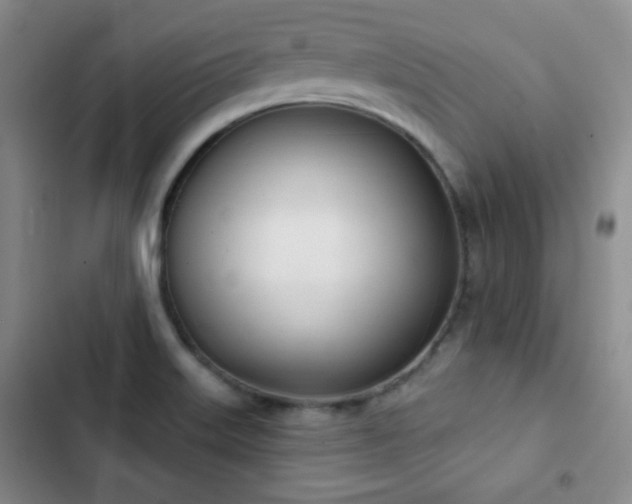 X0000103171515200808221222