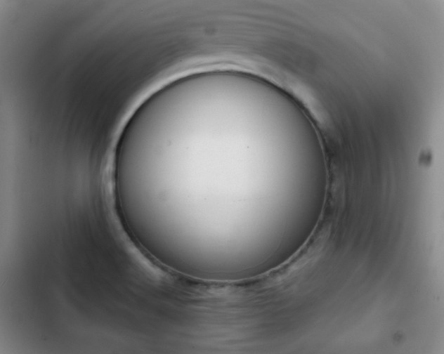 X0000103171516200808221222