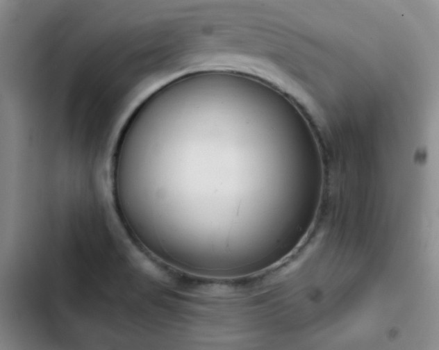 X0000103171517200808221222