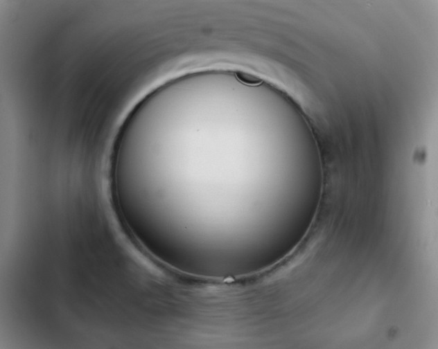 X0000103171518200808221222