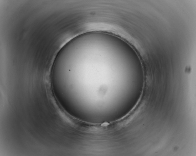 X0000103171521200808221222