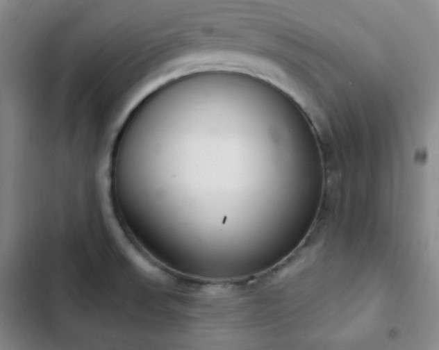 X0000103171523200808221222
