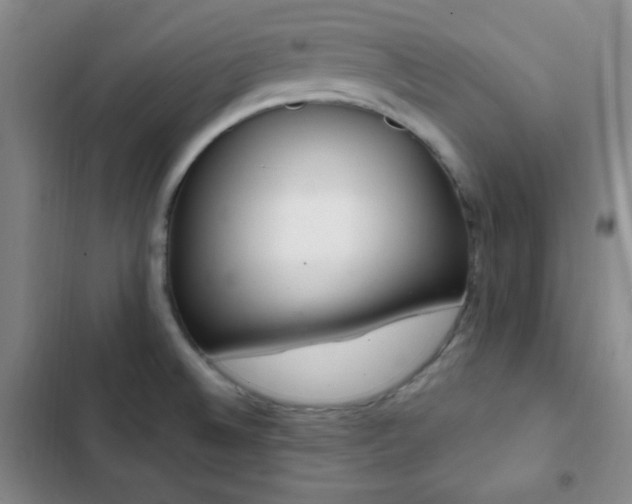 X0000103171524200808221222