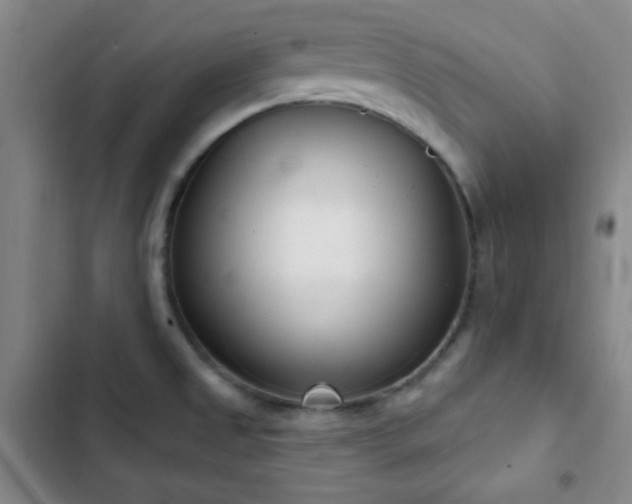X0000103171525200808221222
