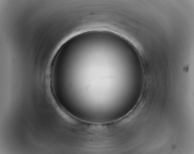 X0000103171526200808221222