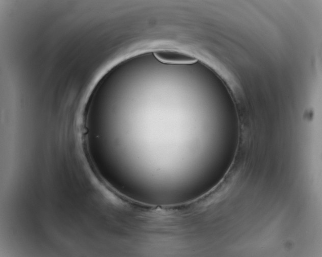 X0000103171527200808221222