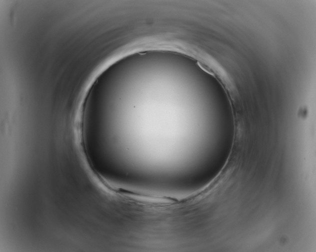X0000103171528200808221222