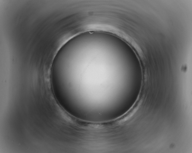 X0000103171529200808221222