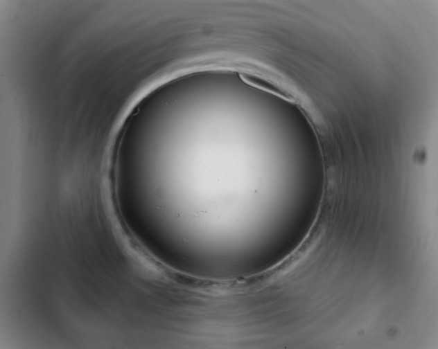 X0000103171530200808221222