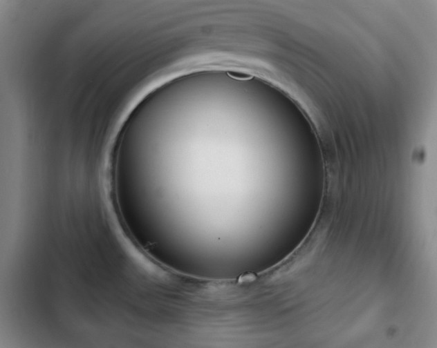 X0000103171531200808221222