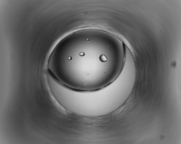 X0000103171532200808221222