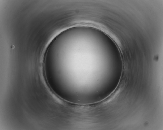 X0000103171533200808221222