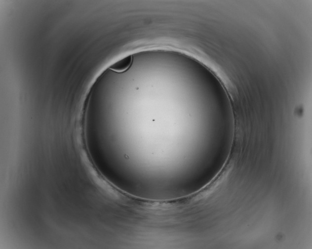 X0000103171534200808221222