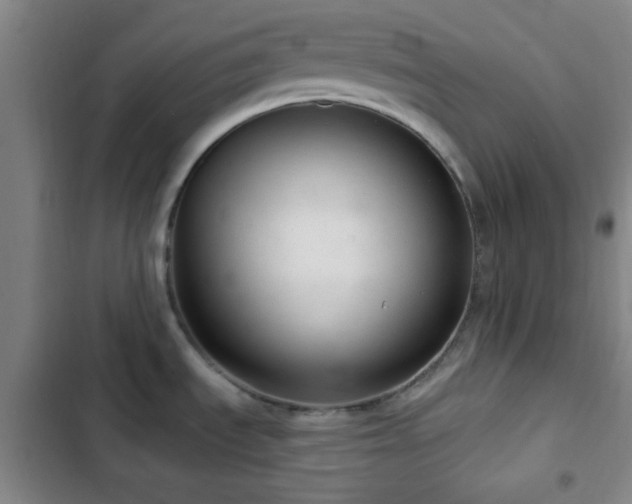 X0000103171535200808221222