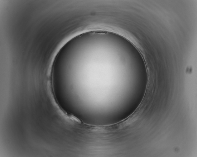 X0000103171536200808221222
